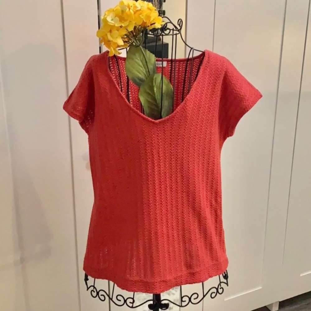Rose + Olive Coral Short Sleeve V Neck Top Size Medium